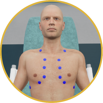 Medical VR training simulator for chest physical examination - auscultation, palpation, and percussion practice for medical students